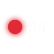Crítica do casino Wild Tokyo